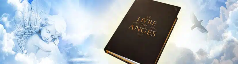 LE LIVRE DES ANGES